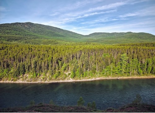 Lush green forest along a calm river, with rolling hills and a clear blue sky in the background.