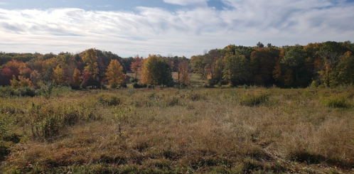 A scenic landscape featuring a grassy field with colorful autumn trees under a partly cloudy sky.