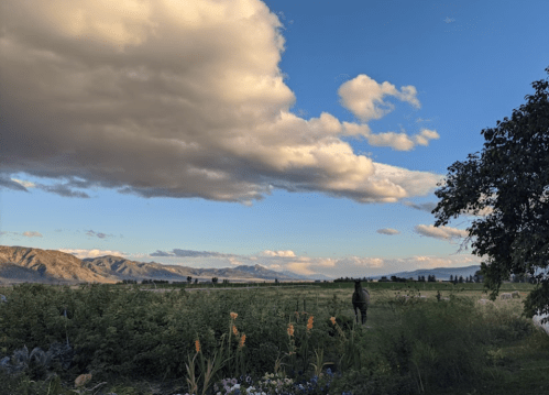 A person stands in a field with mountains in the background under a partly cloudy sky.