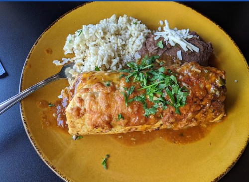 A plate featuring a large enchilada topped with sauce and cilantro, served with rice and refried beans.