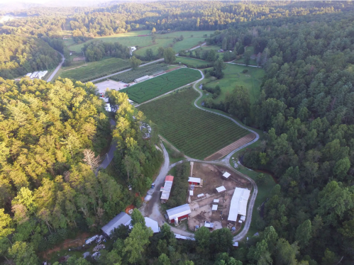 Aerial view of a lush green landscape with fields, trees, and a farm layout in a rural area.
