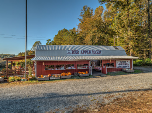 A charming barn store with pumpkins outside, surrounded by trees and a clear blue sky. Sign reads "God Bless America."