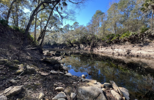 A serene riverbank scene with trees, rocks, and calm water reflecting the blue sky.