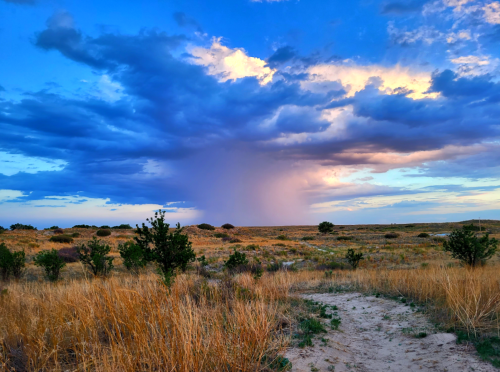 A scenic landscape featuring tall grass, scattered trees, and a dramatic sky with clouds and a hint of rain.