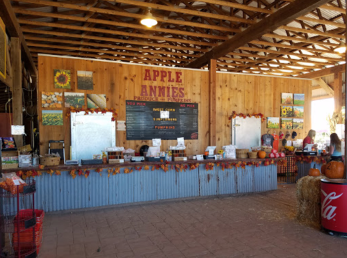 Interior of a rustic market with wooden walls, a counter, and autumn decorations, featuring apple-themed signage and produce.