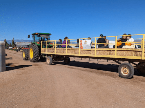 A tractor pulls a hayride filled with people on a sunny day at a farm.