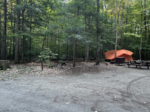 A campsite in a forest with an orange tent, picnic table, and gravel path surrounded by trees.
