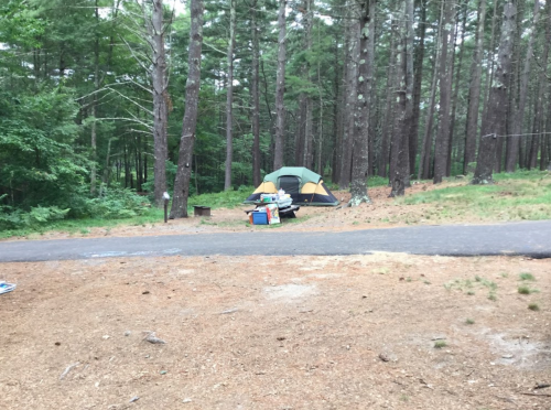 A camping site in a forest with a tent and supplies on a gravel path surrounded by tall trees.