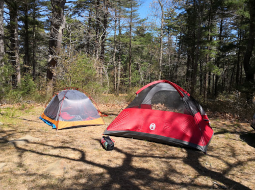 Two tents set up in a forest clearing, surrounded by trees and sunlight filtering through the branches.