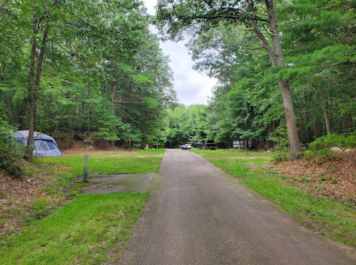 A paved path leads through a wooded area with tents and vehicles visible in the distance. Lush greenery surrounds the scene.