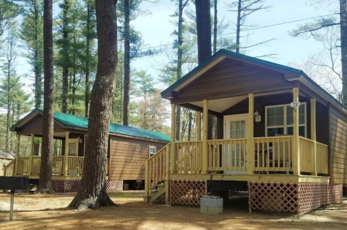 Two wooden cabins with porches nestled among tall trees in a forested area.