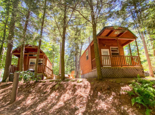 Two wooden cabins nestled among tall trees, with sunlight filtering through the leaves, creating a serene outdoor setting.