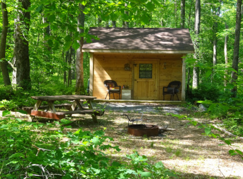 A cozy wooden cabin surrounded by lush green trees, with a picnic table and fire pit in front.