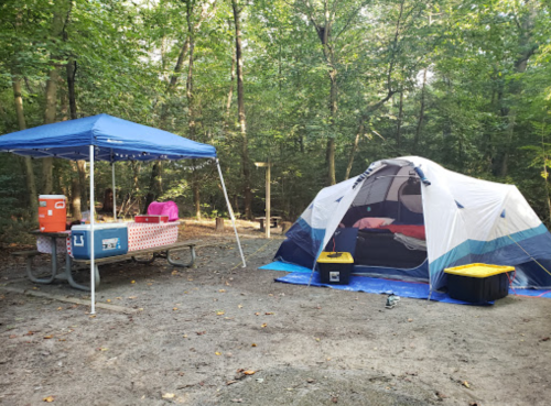 A campsite with a blue tent, picnic table with a blue canopy, and coolers surrounded by trees.
