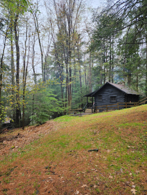 A rustic cabin surrounded by tall trees and a grassy area, set in a serene forest landscape.