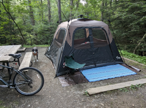 A camping scene featuring a tent, a bicycle, a dog, and a picnic table surrounded by trees.