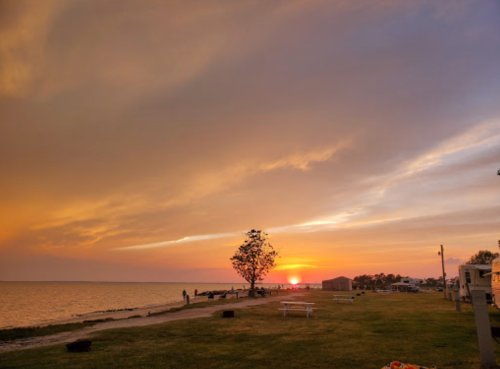 A serene sunset over a calm lake, with silhouettes of trees and a grassy shoreline.