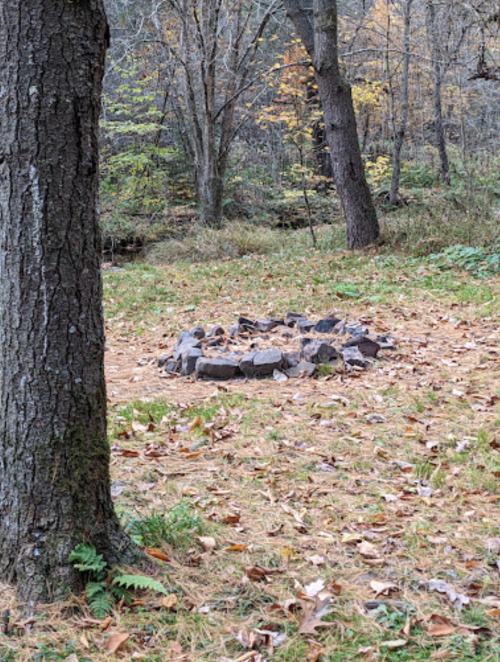 A stone fire pit surrounded by fallen leaves in a wooded area with trees in the background.