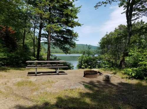 A serene lakeside scene featuring a picnic table, fire pit, and lush greenery under a clear blue sky.