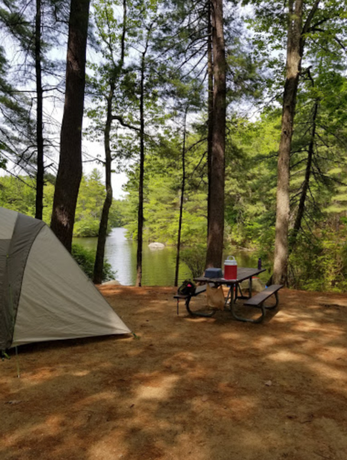 A campsite with a tent, picnic table, and cooler by a serene lake surrounded by tall trees.