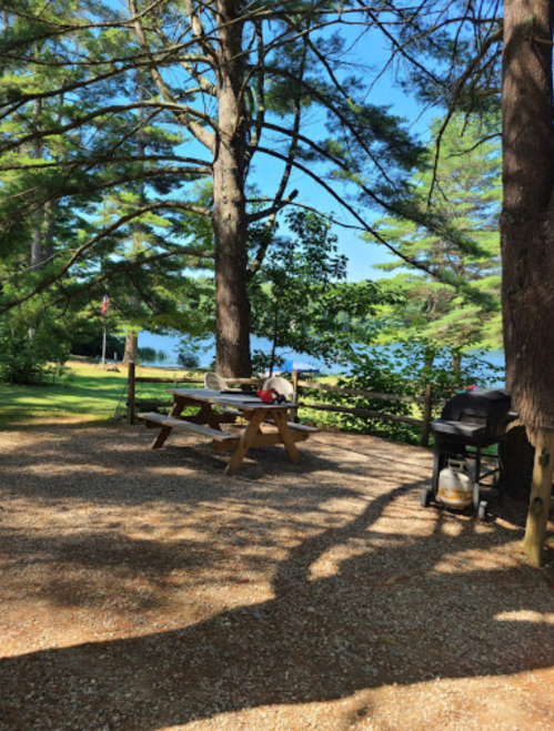 A serene lakeside scene with a picnic table, grill, and trees, surrounded by gravel and a clear blue sky.