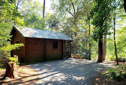 A rustic wooden cabin surrounded by trees, with a picnic table outside on a gravel path.