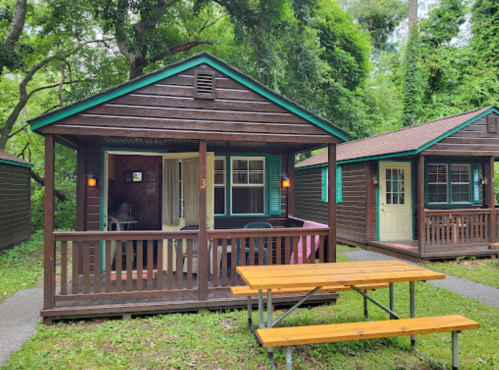 Two rustic wooden cabins surrounded by greenery, with a picnic table in front of one cabin.