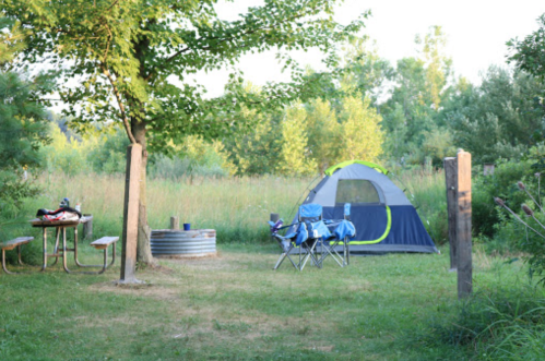 A campsite with a tent, two blue chairs, a picnic table, and a fire pit surrounded by tall grass and trees.