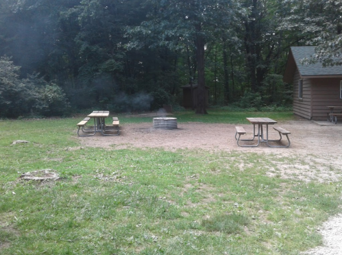 A clearing in the woods with two picnic tables and a fire pit, surrounded by trees and a cabin in the background.