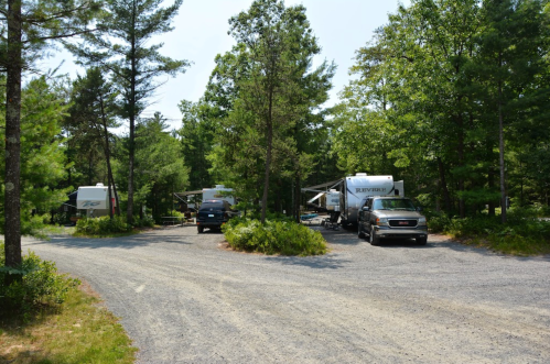 A gravel road leads to several RVs parked among trees in a wooded area.