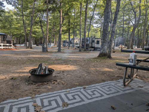 A campsite with a fire pit, picnic table, and RVs in a wooded area, surrounded by trees and a gravel path.