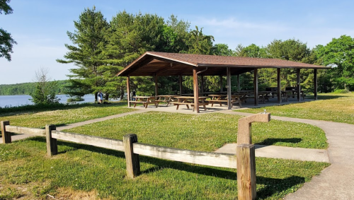 A picnic shelter with wooden tables near a lake, surrounded by trees and a grassy area on a sunny day.