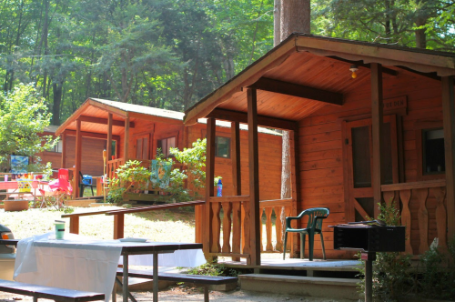 Two wooden cabins nestled in a forest, with a picnic table and chairs outside, surrounded by greenery.