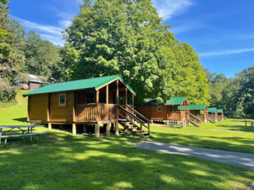 Four wooden cabins with green roofs sit on a grassy area, surrounded by trees under a clear blue sky.