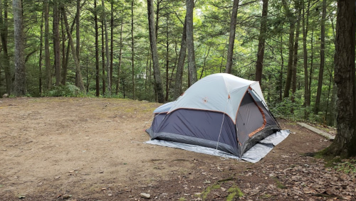 A tent set up on a dirt patch surrounded by tall trees in a forested area.