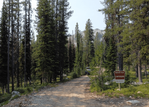 A dirt road leads into a forest of tall pine trees, with a sign for Camp Ground visible on the right.