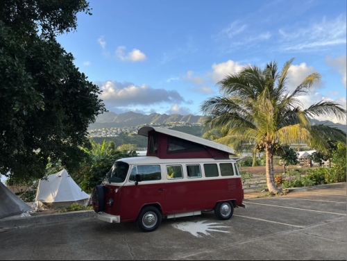 A red vintage camper van parked under palm trees with mountains in the background and a clear blue sky.