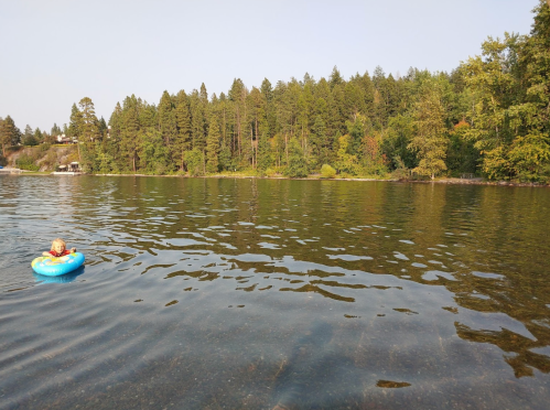 A child in a blue inflatable float on a calm lake, surrounded by trees and a clear sky.