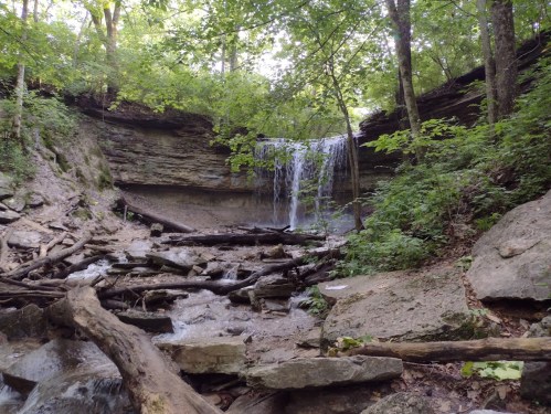 A serene waterfall cascades over rocky cliffs, surrounded by lush greenery and fallen logs in a tranquil forest setting.