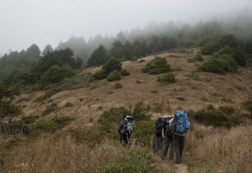 Hikers with backpacks walking on a trail through a foggy landscape with hills and sparse vegetation.