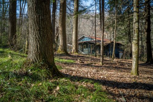 A rustic cabin nestled among tall trees in a forest, surrounded by fallen leaves and greenery.