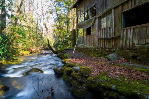 A serene stream flows beside a rustic, weathered cabin surrounded by trees and moss-covered rocks.