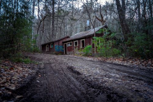 Abandoned red cabin in a wooded area, with graffiti on the side and a dirt path leading up to it.