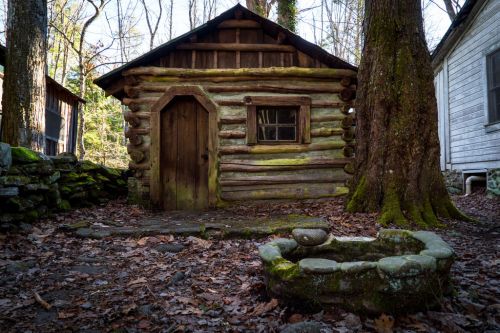 A rustic log cabin surrounded by trees, with a stone fire pit in front and fallen leaves on the ground.