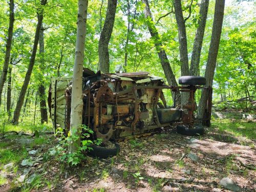 An overturned, rusted car partially hidden among trees in a lush green forest.