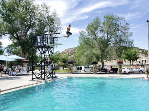 A person jumps off a diving board into a clear blue pool, surrounded by trees and a sunny sky.