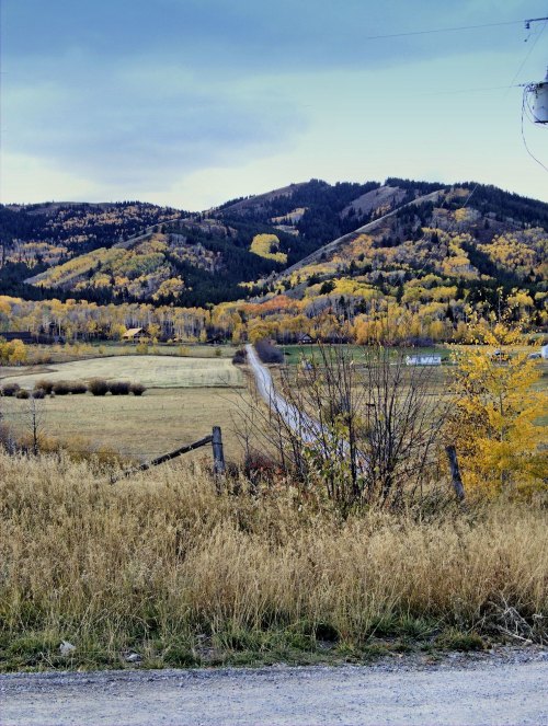 A scenic view of rolling hills with autumn foliage, a winding road, and a grassy foreground under a cloudy sky.