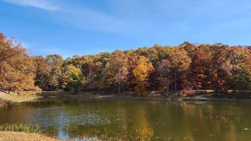 A serene pond surrounded by vibrant autumn foliage under a clear blue sky.