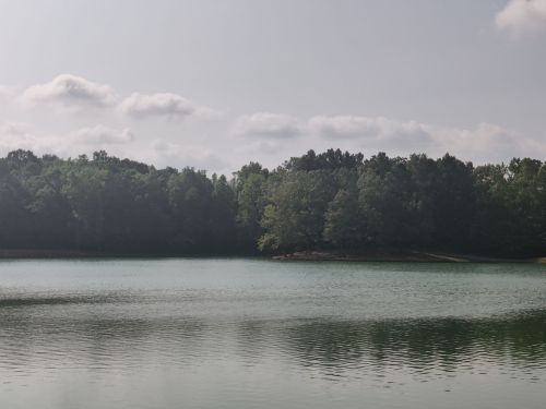 A serene lake surrounded by lush green trees under a cloudy sky, reflecting the landscape on its calm surface.