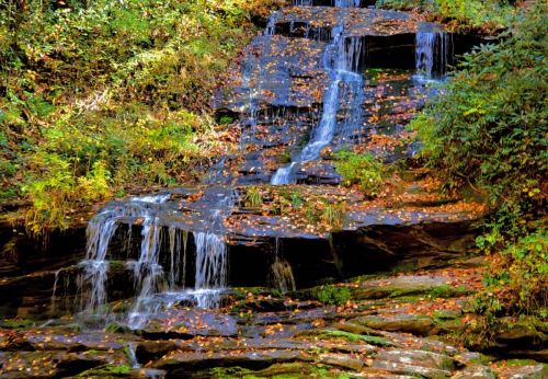 A serene waterfall cascading over rocky steps, surrounded by autumn leaves and lush greenery.